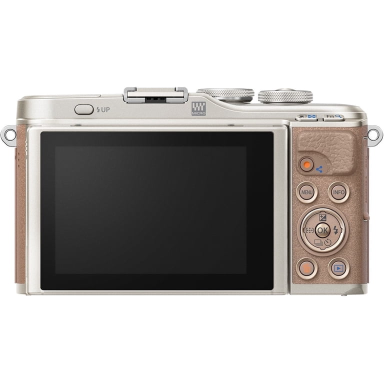 Olympus PEN E-PL10 16.1 Megapixel Mirrorless Camera Body Olympus PEN E-PL10 16.1 Megapixel Mirrorless Camera Body
