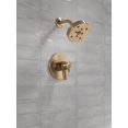 thumbnail image 7 of Delta T17259-PN Trinsic Monitor 17 Series Dual Function Pressure Balanced Shower Only -, 7 of 7