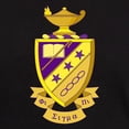 thumbnail image 3 of CafePress - Phi Sigma Pi Full Color T Shirt - Men's Classic Graphic Cotton T-Shirt, 3 of 4