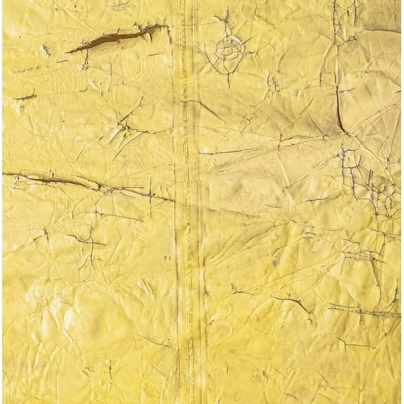 David Hammons, (Hardcover)