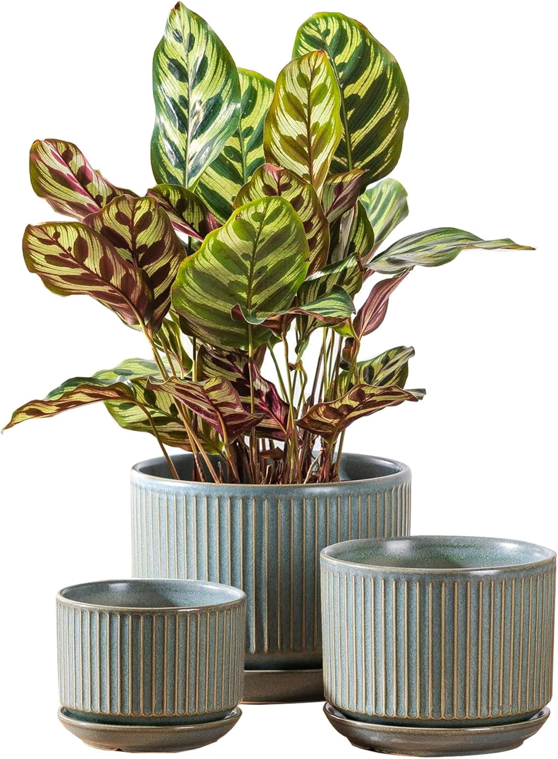 Set of 3 Speckle Gray Ceramic Plant Pots, 4.3+5.5+6.7 Inch with Drainage Hole, Saucer & Hole Pads, Striped Decorative Planter for Indoor Plants and Gardening