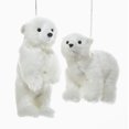 thumbnail image 1 of Adorno colgante con forma de oso polar peludo de Kurt Adler, 2 unidades, 1 of 1