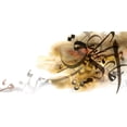 thumbnail image 2 of Abbas, Helen 14x9 White Modern Wood Framed Museum Art Print Titled - Letter Forms I, 2 of 4