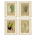 thumbnail image 2 of PixonSign Adhesive Canvas Poster, Wall Art Fall Colorful Forest Tree Leaf, Set of 4 Classic Countryside Wall Decor Arts, Plant Botanical Wall Décor, Modern Home Artwork - 8"x10", 2 of 5