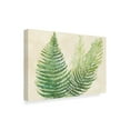 thumbnail image 2 of Trademark Fine Art 'Ferns Square III v2 on Cream' Canvas Art by Chris Paschke, 2 of 3
