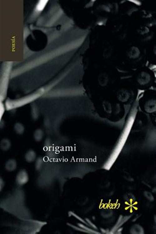 Pre-Owned origami (Paperback)