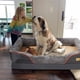 thumbnail image 2 of Waterproof Extra Large Orthopedic Dog Bed Sponge Foam Dog Bedding Lounge Sofa Bed ShopWise Round, 2 of 6