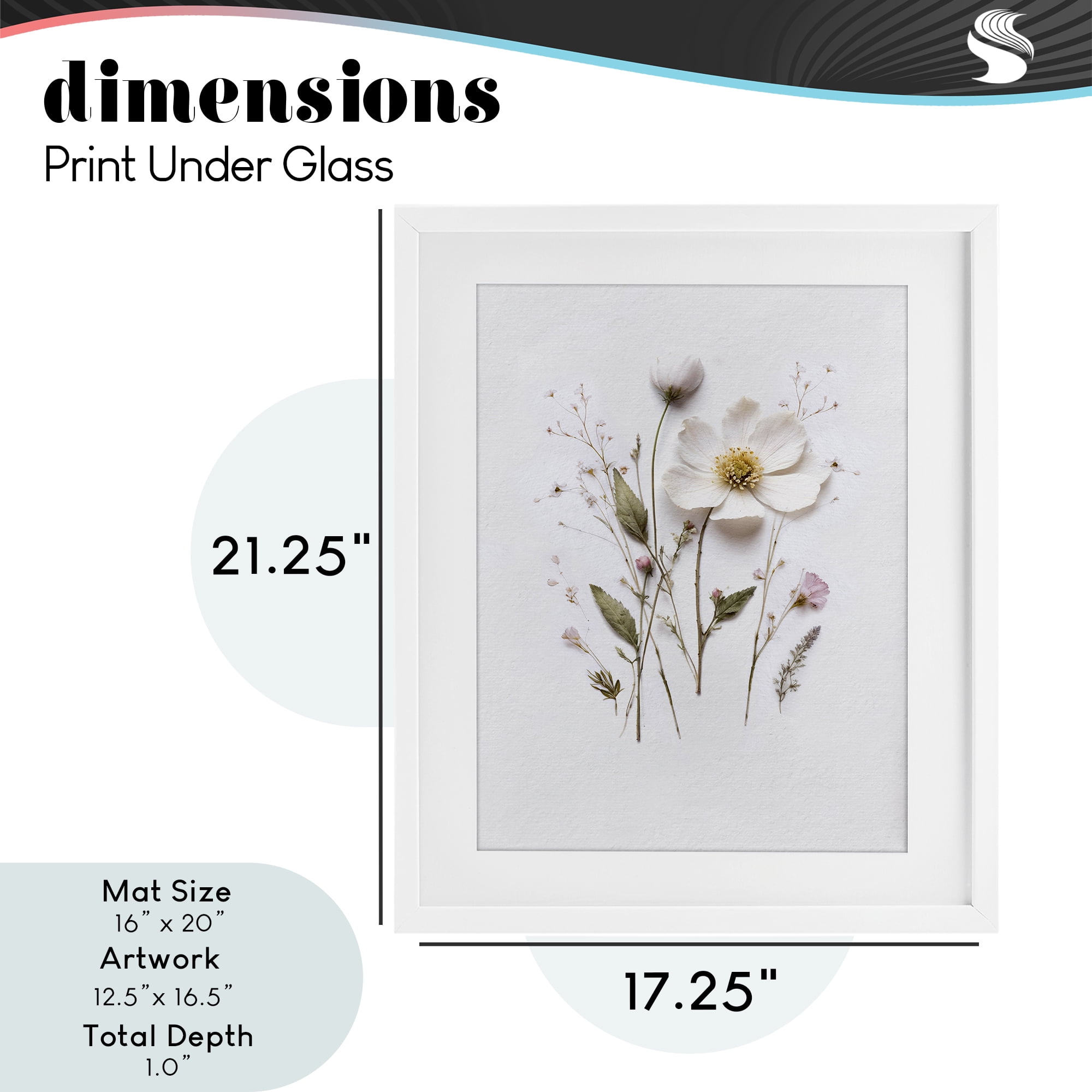 Delicate Pressed Flower Sprigs White Framed Print Under Glass, design by Lettered and Lined