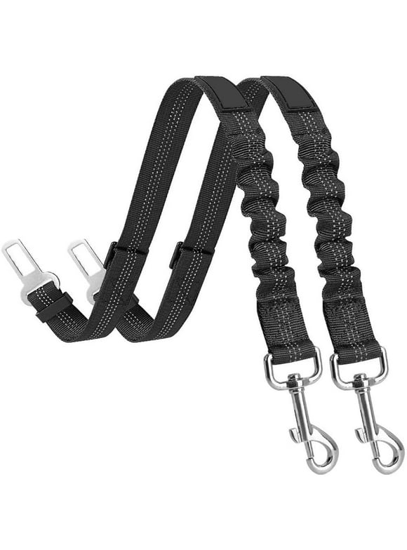 Dog Car Seat Covers and Harnesses in Dog Carriers