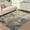 Blue Camel, variant on ZACOO 5'x7' Abstract Area Rug, Machine Washable Ultra Thin Non Slip Carpet for Dorm Home Office Playroom, Grey