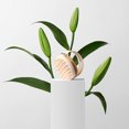 thumbnail image 6 of The Hair Edit Scalp Renew Bamboo Shampoo Scalp Massage Brush, 6 of 7