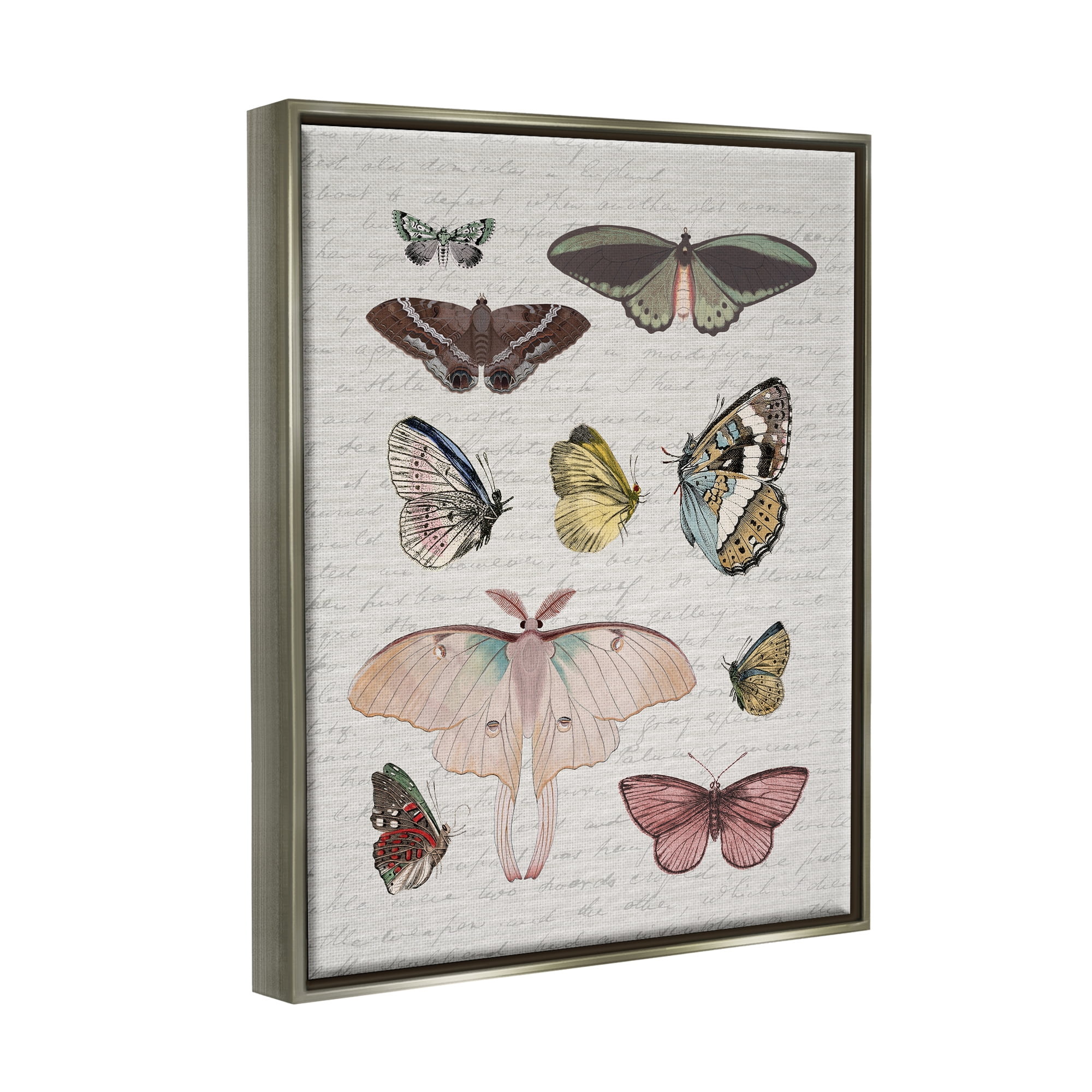 Stupell Industries Moths & Butterflies Vintage Animals & Insects Painting Gray Floater Framed Canvas Art Print Wall Art, 17 x 21
