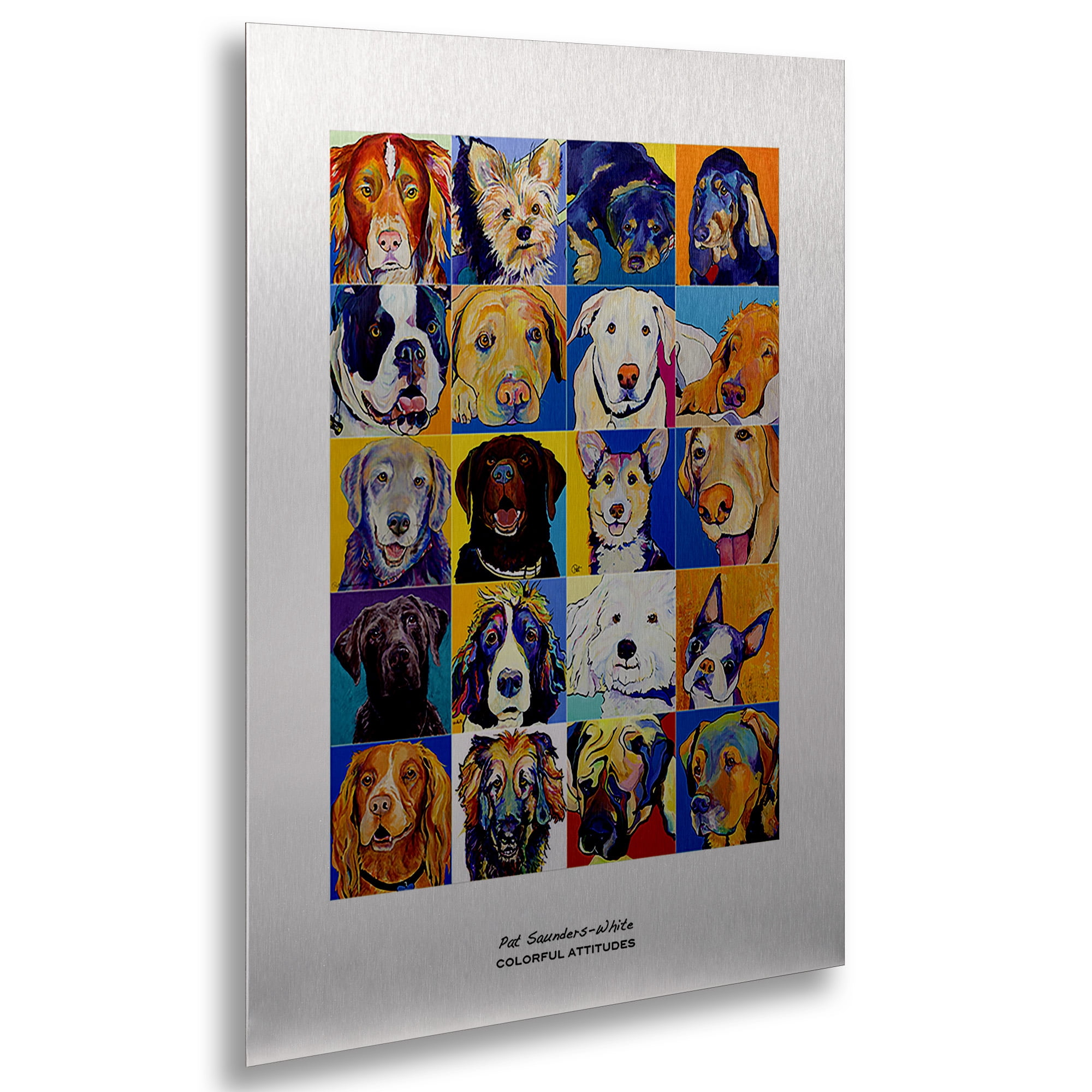 Trademark Fine Art 'Colorful Attitudes Poster' Brushed Aluminum Wall Art Art by Pat Saunders-White