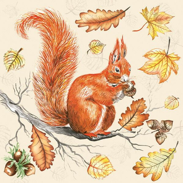 4 x Single Paper Napkins/3 Ply/Decoupage/Craft/Red Squirrel 