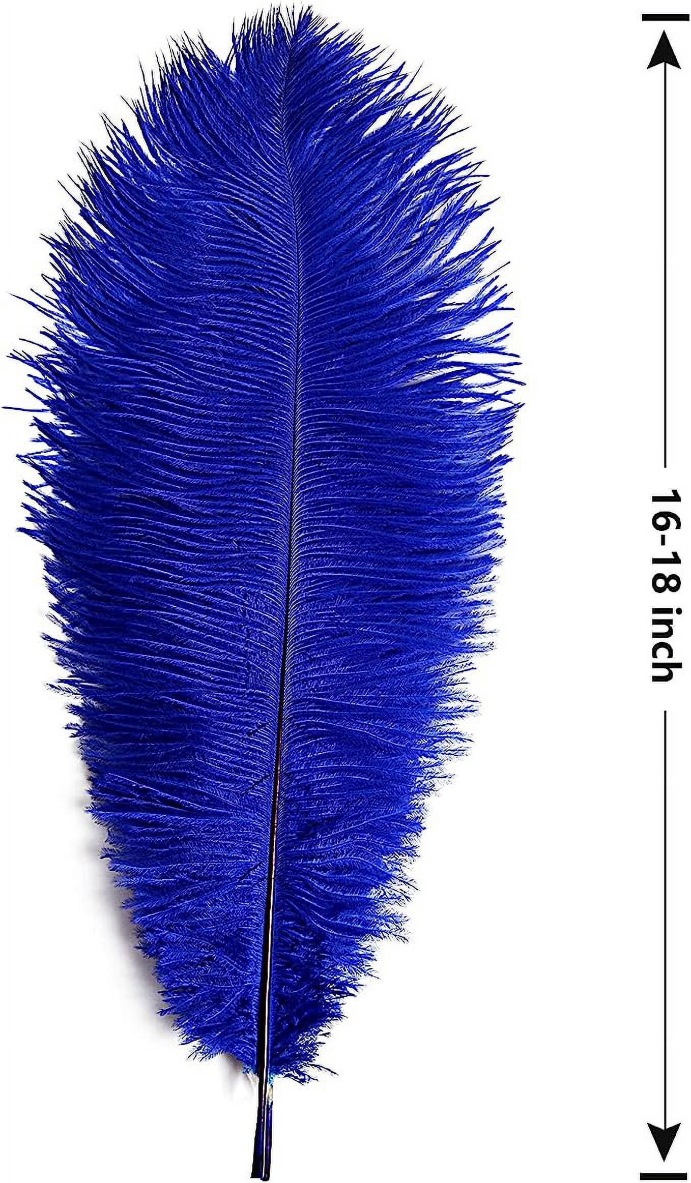 NAMZI 12pcs Blue Bulk Natural Ostrich Feathers 16-18Inch (40cm-45cm), Perfect for Wedding, Party Centerpieces, Easter & Home Decoration