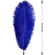 thumbnail image 2 of Nvzi 12 plumas de avestruz negras naturales a granel de 16 a 18 pulgadas, 40 a 45 cm, para centros de mesa de bodas, fiestas, Pascuas, Gatsby y decoración del hogar, plumas de avestruz, 2 of 5
