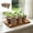 Brown_Base#1236, variant on 6-Cell Silicone Seedling Pot Tray with Drainage and Breathable Design | Foldable Nursery Planter with Water Catch Tray for Starting Small Plants Herbs Succulents Indoor Gardening