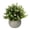 C, variant on Dusknt Artificial Potted Plants, Tabletop Decor, Home Decorations, Realistic Small Artificial Potted Fers Green Plants with Hemispherical Pulp Bonsai Pot, Yel