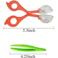 thumbnail image 5 of Qucyy 4 Packs Filet Télescopique pour Papillon avec Attrape-Papillon Gratuit et Pinces à Papillon, Parfait pour Attraper les Insectes Petits Poissons, Extensible jusqu'à 34 Pouces, 5 of 5