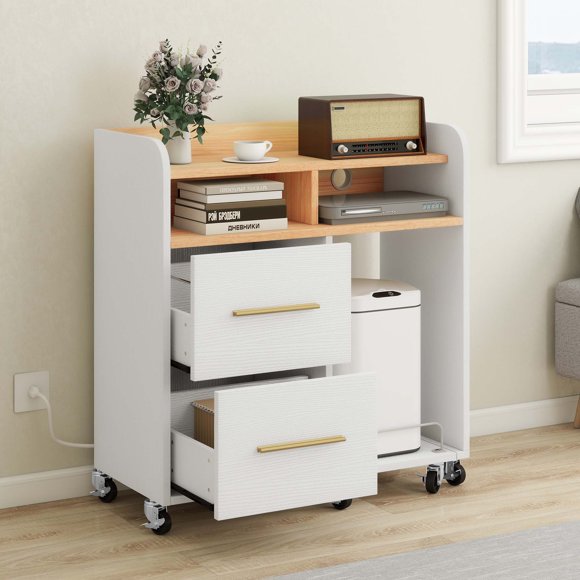 DEXTRUS Rolling Office Cabinet with Charging Station, Printer Stand with Shredder Shelf, 2 Drawer File Cabinet for Home Office, White