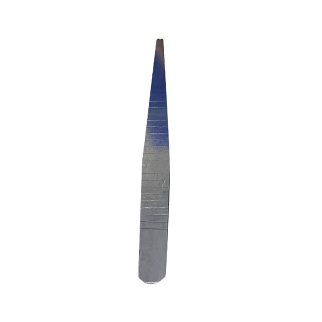 RKSTN Pinces en Acier Inoxydable Pinces en Acier Inoxydable Ornements de Mousse Outils de Jardinage DIY