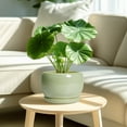 thumbnail image 5 of Ordivic 8 inch Glossy Green Ceramic Planters with Drainage & Saucer, Medium Round Flower Pot for Pothos Snake Plants Living Room Entryway Decor, 5 of 6