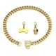thumbnail image 5 of Rumypet Collar De Cadena De Oro Para Perro, Collar De Cadena, 5 of 5