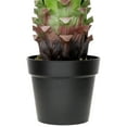 thumbnail image 4 of Northlight Real Touch™️ Green Artificial Agave Succulent Plant In a Black Pot - 30.5", 4 of 9