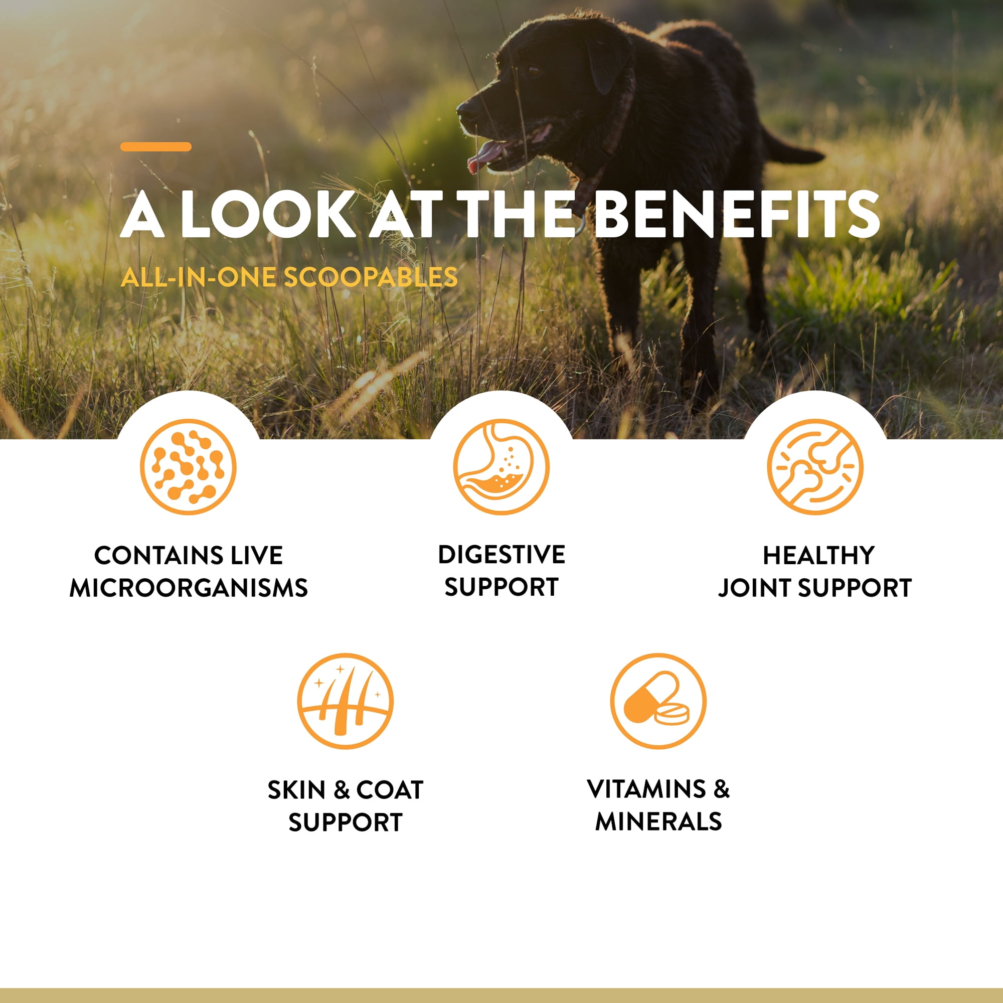 NaturVet Scoopables All-In-One Daily Essentials Dog Supplements