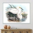 thumbnail image 3 of Designart Vintage Bird Life I FLOAT FRAME WALL ART, 3 of 4