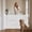white, variant on Retractable Gates, Mesh Safety Gate for Stairs & Doorways, Extra Wide Tall Pet Dog Gate, Indoor Outdoor Hardware Mount Safety Barrier, One-Hand Operation (White, 55" W x 35" H)