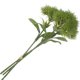 thumbnail image 1 of OHOIOLLA 3Ud Planta Decorativa Artificial Verde Para Con Tacto Y Duradero Para Interiores, 1 of 6