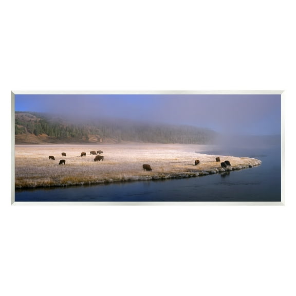 Stupell Industries Bison Animals Grazing Rural River Nature Photography Photograph Unframed Art Print Wall Art, Design by Jim Becia