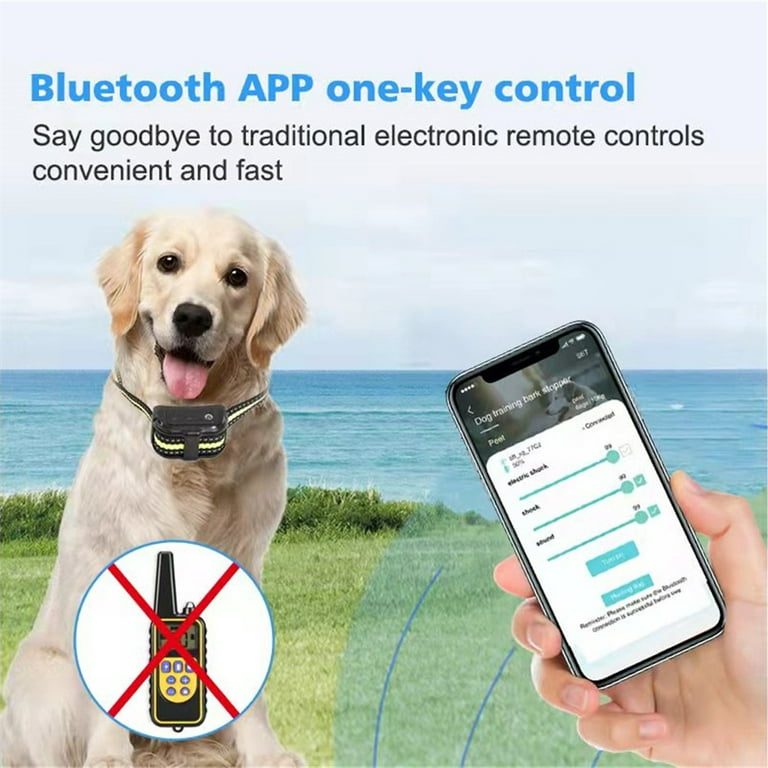 Smart Dog Trainer App