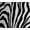 Zebra, variant on ComfyKids® Bean Bag Chair for Teens