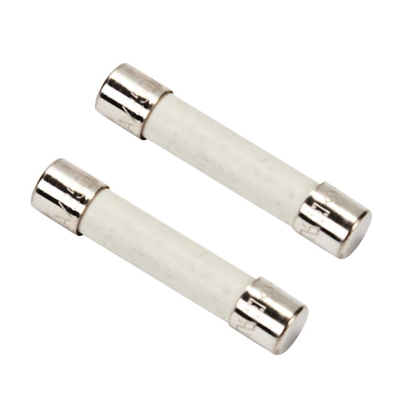 Scaroo WPM0805101 Microwave Fuse Fit For Whirlpool Replaces With AP6014669 2-Pack