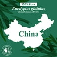 thumbnail image 7 of Handcraft Blends Eucalyptus Essential Oil - 100% Pure and Natural - Premium Grade Essential Oil for Diffuser and Aromatherapy - 1 Fl Oz, 7 of 7