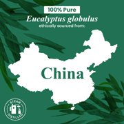 Handcraft Blends Eucalyptus Essential Oil - 100% Pure and Natural - Premium Grade Essential Oil for Diffuser and Aromatherapy - 1 Fl Oz
