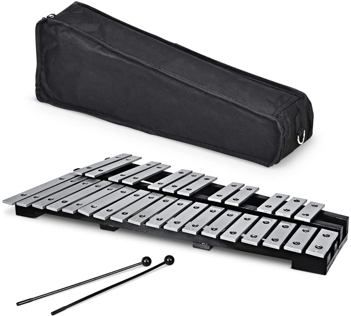 30 Notes Foldable Glockenspiel Xylophone Includes 2 Mallets and Carrying Bag Percussion Instrument Kit for Adults and Kids 