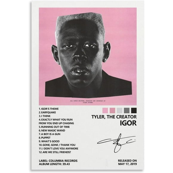 PPHAOSHO Tyler The Creator Igor Album Cover Poster frameless Painting Canvas Wall Posters Art Picture Print Modern Home Decor 12x18inch