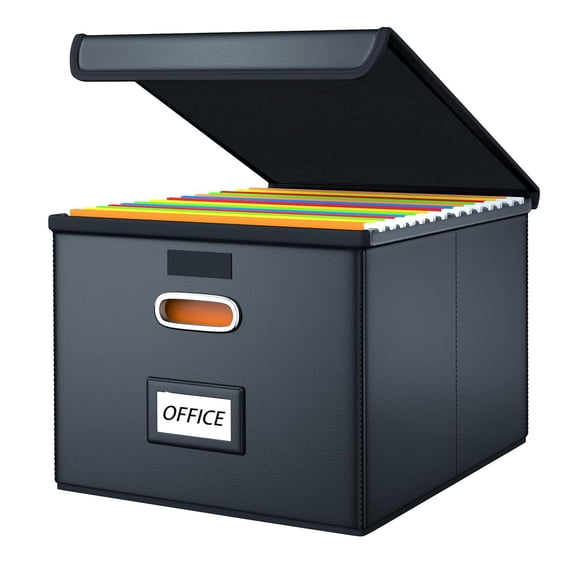 1 Pack File Organizer, File Box, File Cabinet for Letter File Folder Storage, Hanging File Organizer for Office/Decor/Home,Document Organizer