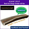 thumbnail image 3 of Deluxe Naturals 3-Pack Giant Split Elk Antler Dog Chews, Naturally Shed A-Grade Elk Antler Treat for Medium and Large Dogs, 3 of 10