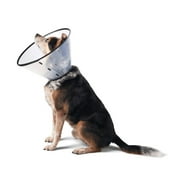 Remedy + Recovery E-Collar for Dogs and Cats
