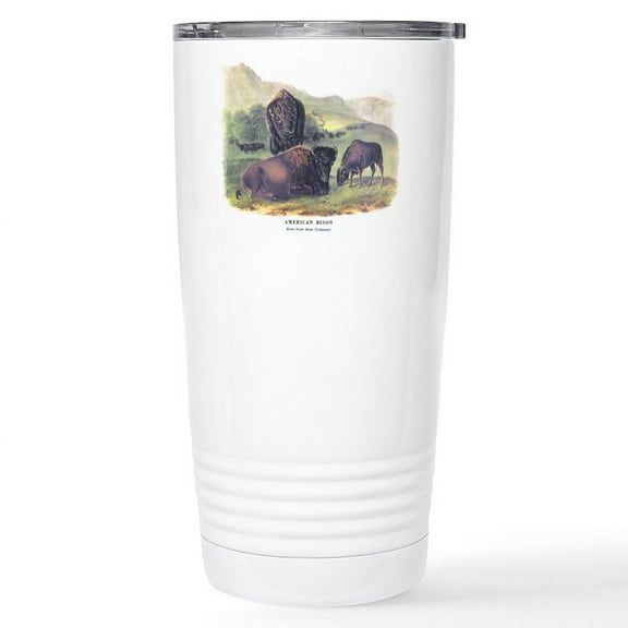 CafePress - Audubon American Bison Buffalo Stainless Steel Tra - Insulated Stainless Steel Travel Tumbler 20 oz.