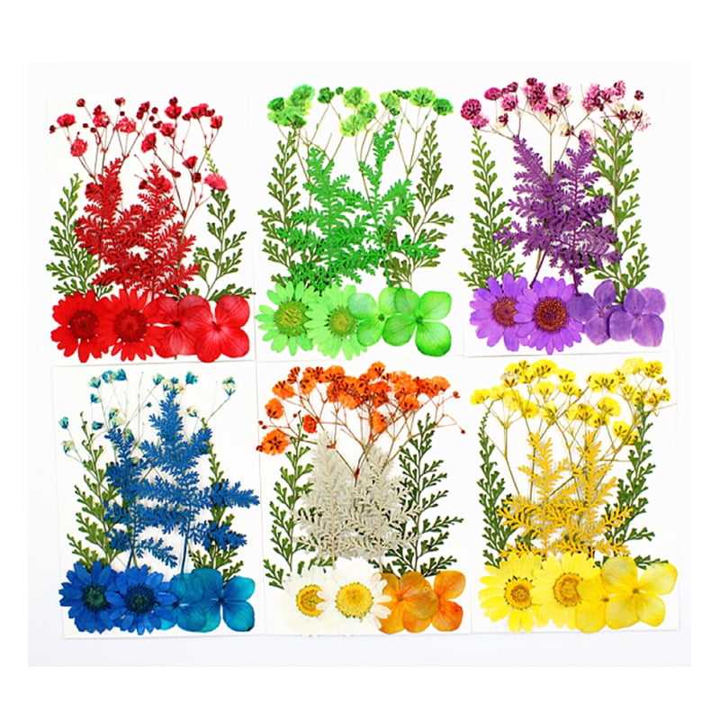 JETTINGBUY 4 PCS Real Dried Pressed Flowers Mixed Multiple Colorful Flowers for Craft Jewelry Making 