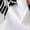 White Multicolor Feather, variant on Women’s Casual Printed Button Down Long Sleeve Blouse Shirt