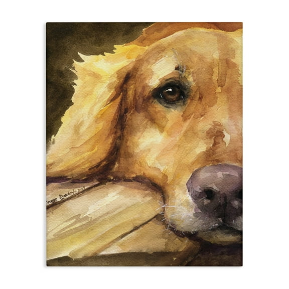Stupell Industries Sight of Golden Retriever Canvas Wall Art, design by George Dyachenko