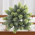 thumbnail image 4 of Unpotted Fake Succulents Assorted Faux Succulent in Different Green Artificial Hanging Succulents Textured Faux Succulent Pick Hanging String of Pearls Plant, 4 of 7