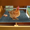 thumbnail image 3 of Tnobhg 2Pcs Egg Pad Reusable Chicken Nesting Box Pads Easy to Clean Soft Egg Protection Pad for Garden Farm Yard, 3 of 8