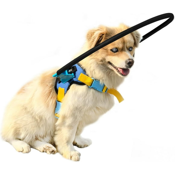 SHIQI-Blind Dog Halo Harness, Protective Halo Dog Collar for Blind Dogs, Confidence Building Harness Guiding Device, Blind Dog Accessories, S Black